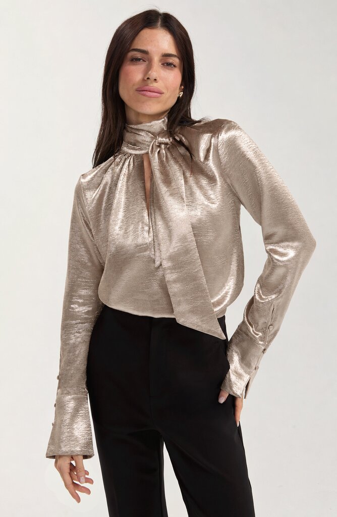 LIVERPOOL Bronze Metallic Long Sleeve Blouse Top